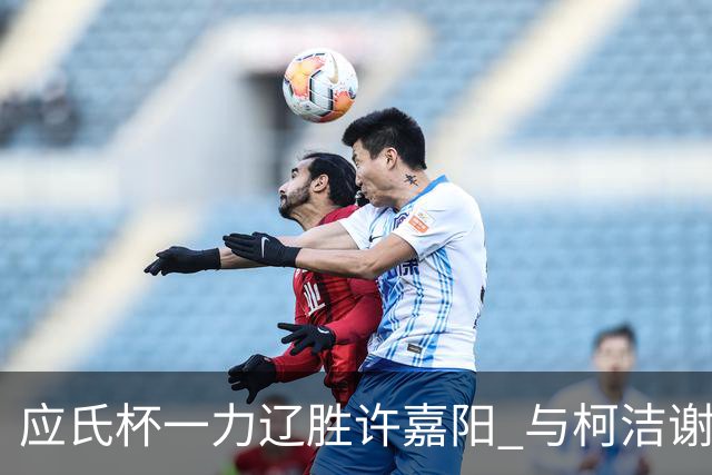 应氏杯一力辽胜许嘉阳 与柯洁谢科许皓鋐进4强